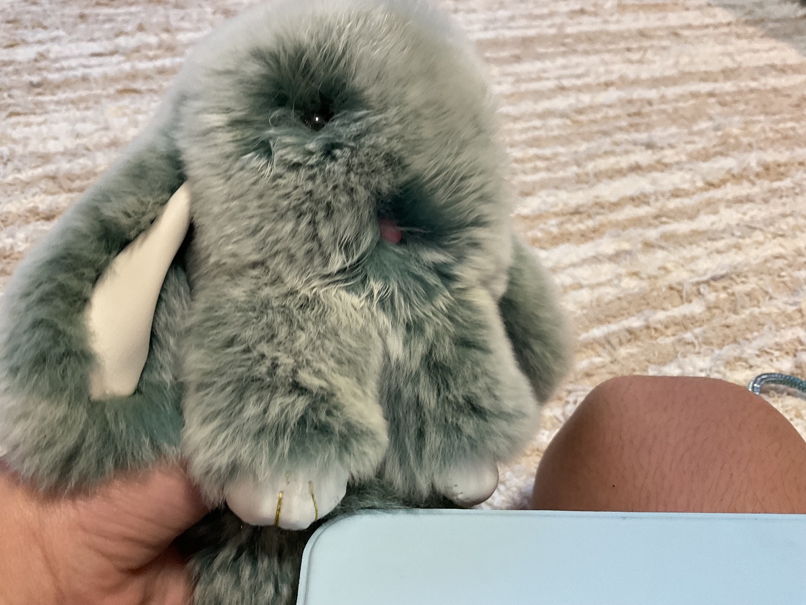 Coelho de pelo — foto 3 de 4