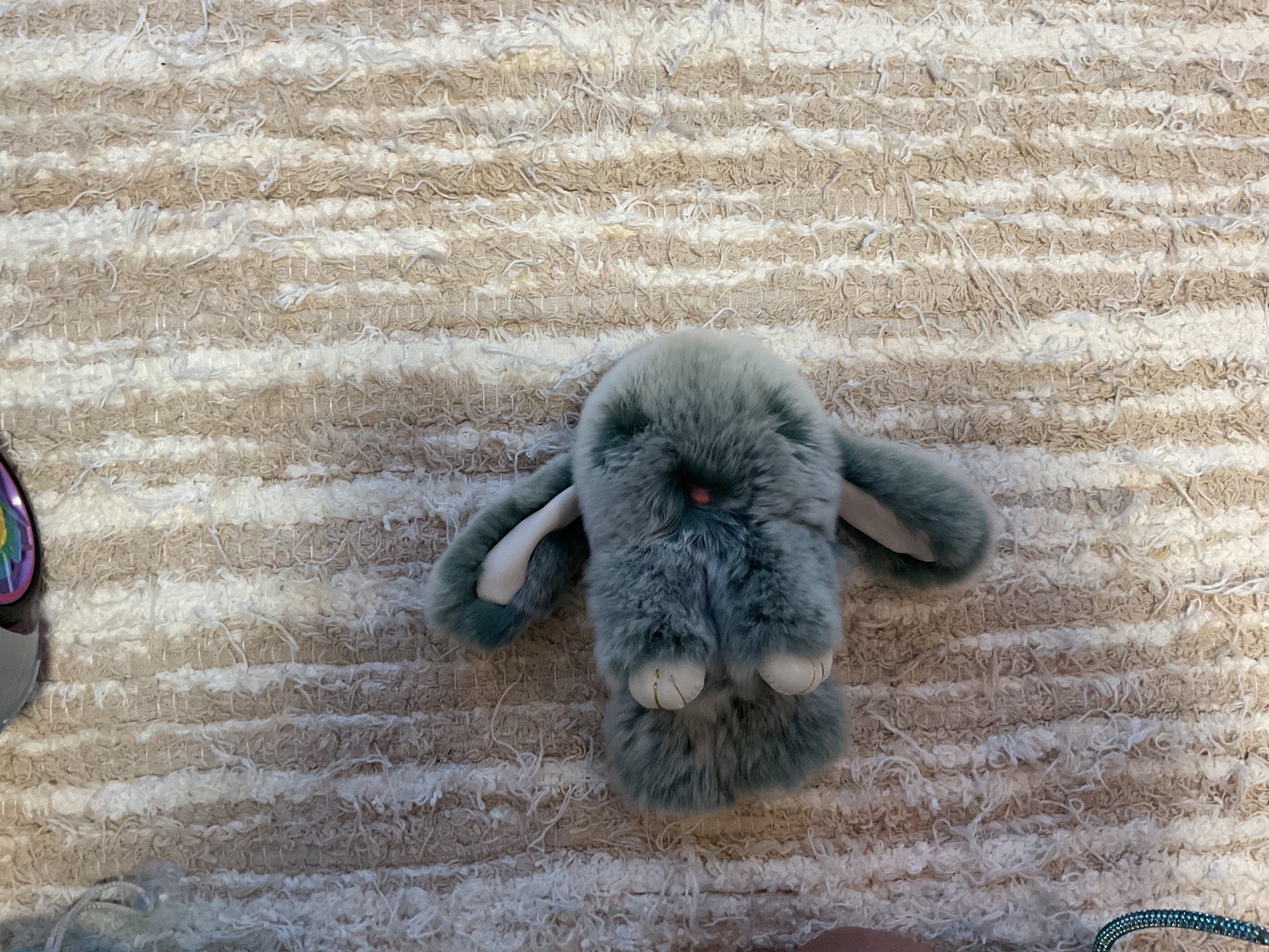 Coelho de pelo — foto 1 de 4