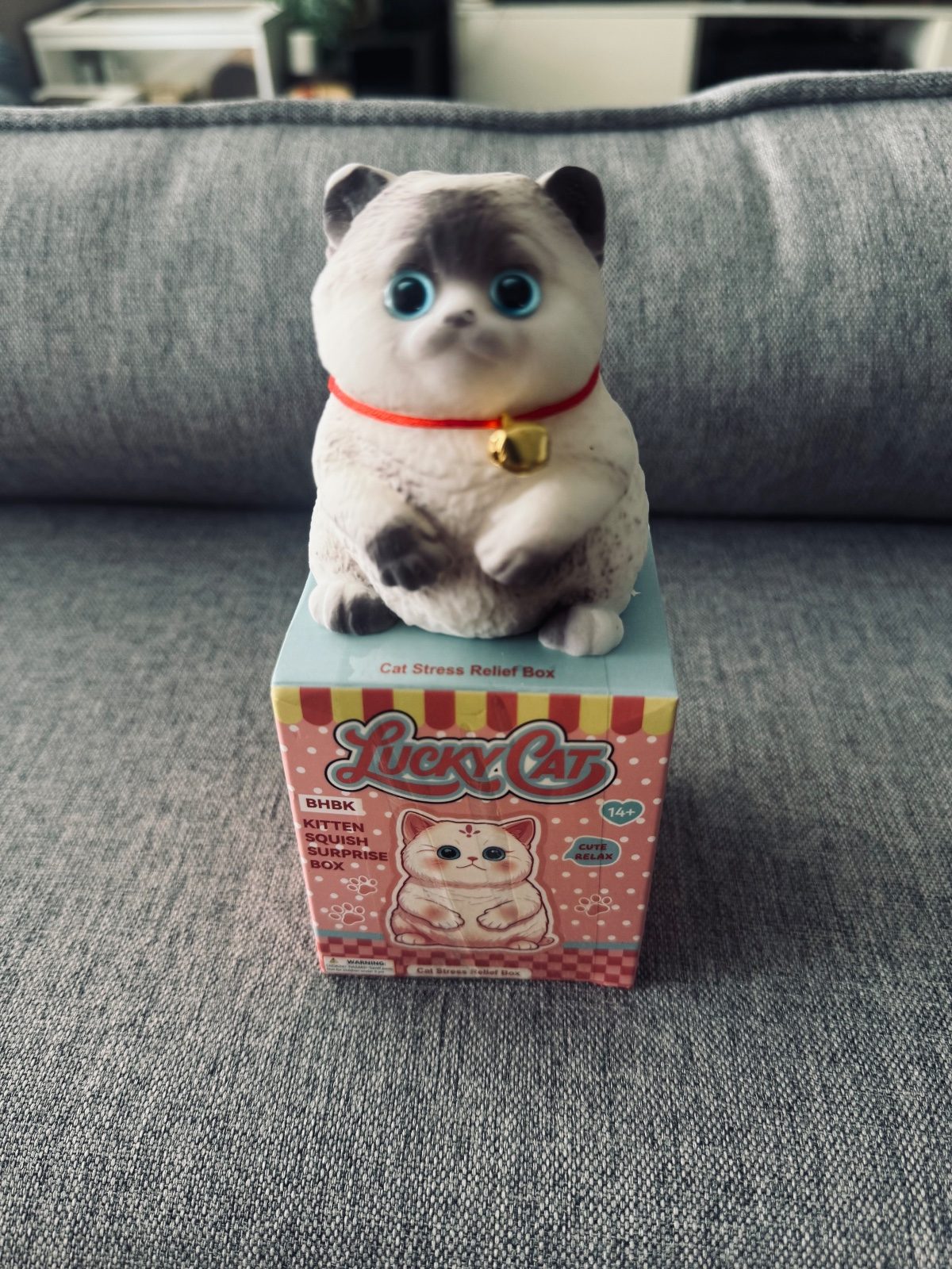 Gatinho surpresa — foto 1 de 1