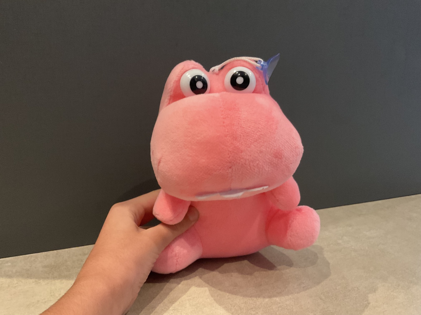Urso de pelúcia — foto 1 de 1